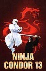 Ниндзя-стервятник (1987) Ninjas, Condors 13