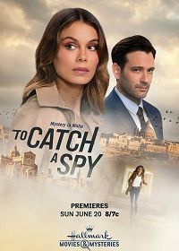 Поймать шпиона (2021) To Catch a Spy