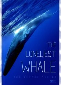 Самый одинокий кит на планете: в поисках Пятидесятидвухгерцового кита (2021) The Loneliest Whale: The Search for 52