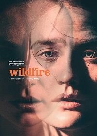 Из огня да в полымя (2020) Wildfire