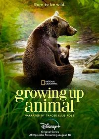 Взрослеющее животное (2021) Growing Up Animal