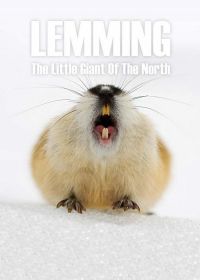 Лемминг. Маленький гигант севера (2017) Lemming, the little giant of the North