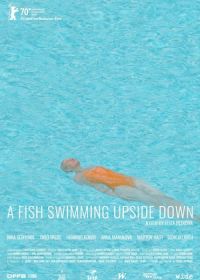 Рыба, плавающая брюхом вверх (2020) Ein Fisch, der auf dem Rücken schwimmt