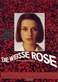 Белая роза (1982) Die weiße Rose