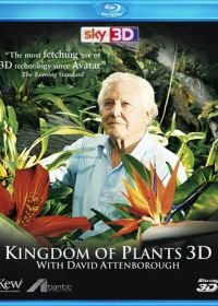 В королевстве растений с Дэвидом Аттенборо (2012) Kingdom of Plants 3D