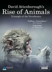 Восстание животных: Триумф позвоночных (2013) Rise of Animals: Triumph of the Vertebrates