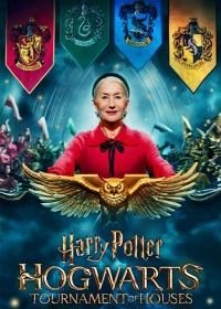 Гарри Поттер: Турнир факультетов Хогвартса / Гарри Поттер: Битва факультетов (2021) Harry Potter: Hogwarts Tournament of Houses