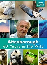 Аттенборо. 60 лет с дикой природой (2012) Attenborough: 60 Years in the Wild