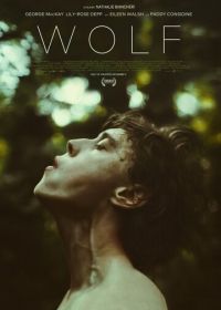 Волк (2021) Wolf
