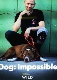 Собака: Невозможное возможно / Плохих собак не бывает (2019) Dog: Impossible
