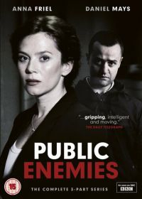 Враги общества (2012) Public Enemies