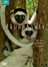 BBC: Мадагаскар (2011) Madagascar