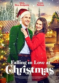 Тайный Санта (2021) Falling in Love at Christmas