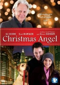 Ангел Рождества (2009) Christmas Angel