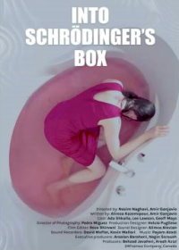 Убийство Шрёдингера (2021) Into Schrodinger's Box