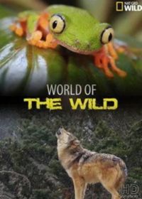 National Geographic. Мир дикой природы (2016) World of the Wild