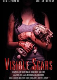 Видимые шрамы (2012) Visible Scars
