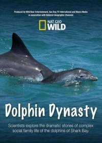 Династия дельфинов (2016) Dolphin Dynasty