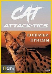 Кошачьи приемы (2019) Cat Attack-Tics