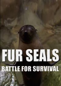 Морские котики: битва за выживание (2014) Fur Seals. Battle for Suvival