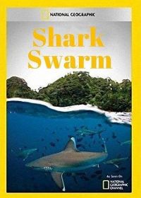 Полчища акул (2017) Shark Swarm