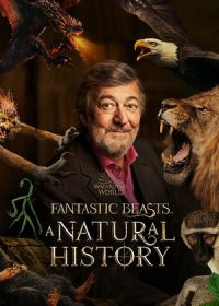 Фантастические твари: Естественная история (2022) Fantastic Beasts: A Natural History