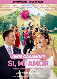 Мы поженились? Да, любовь моя / Милая, давай поженимся! (2022) ¿Nos casamos? Sí, mi amor / Let's Tie the Knot, Honey!