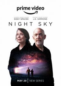Ночное небо (2022) Night Sky