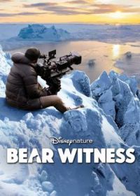 Наблюдение за медведем (2022) Bear Witness