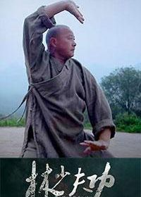 Кунг-фу и шаолиньские монахи (2015) The Kung Fu ShaoLin