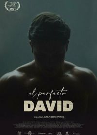 Идеальный Давид (2021) El perfecto David