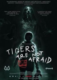 Тигры не боятся (2017) Os Tigres Nao Tem Medo