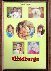 Голдберги (2013-2022) The Goldbergs