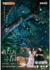Роман маленького леса / Роман в маленьком лесу (2022) Liang Ge Ren De Xiao Sen Lin / A Romance of The Little Forest / Two People's Little Forest