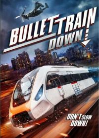 Крушение скоростного поезда (2022) Bullet Train Down